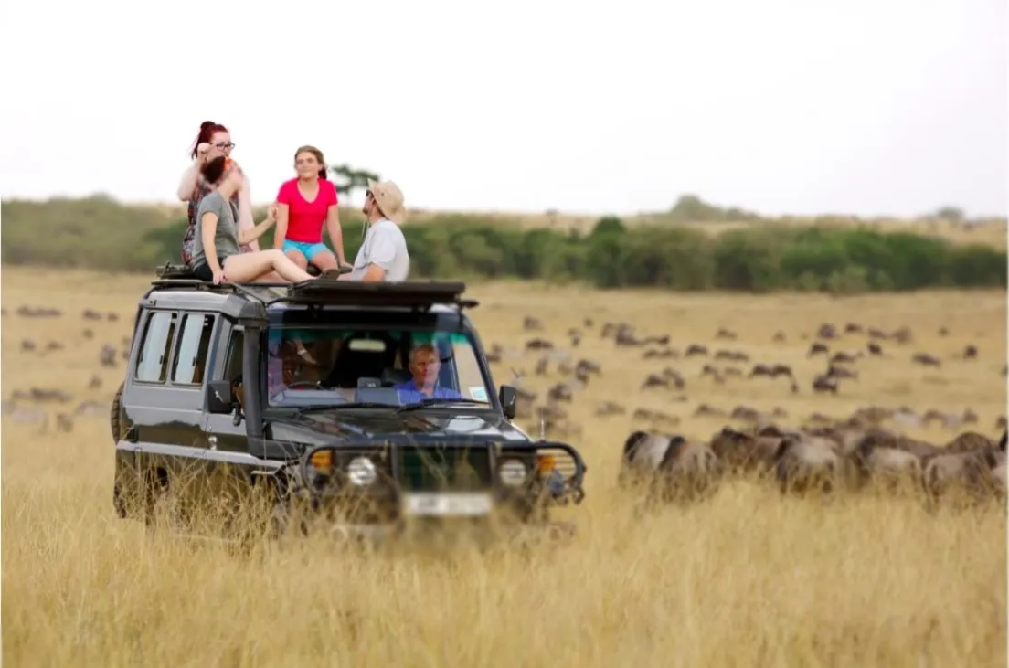 Serengeti game drive with Big Five