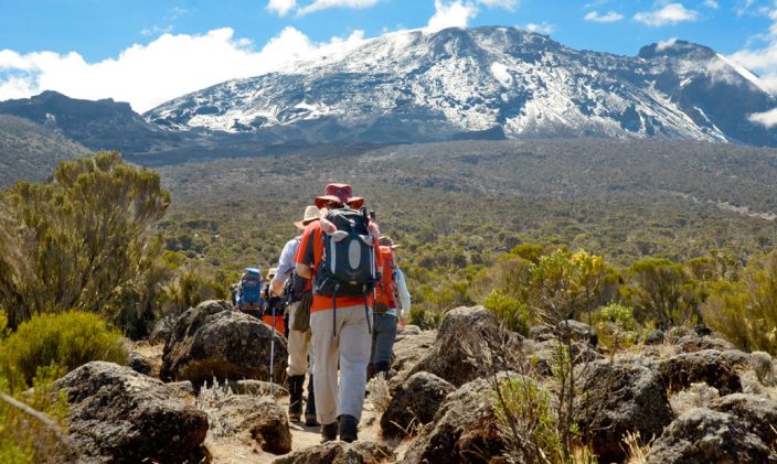 Kilimanjaro Umbwe Route steep southern forest approach