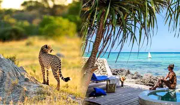 Big Five safari and Zanzibar beach holiday