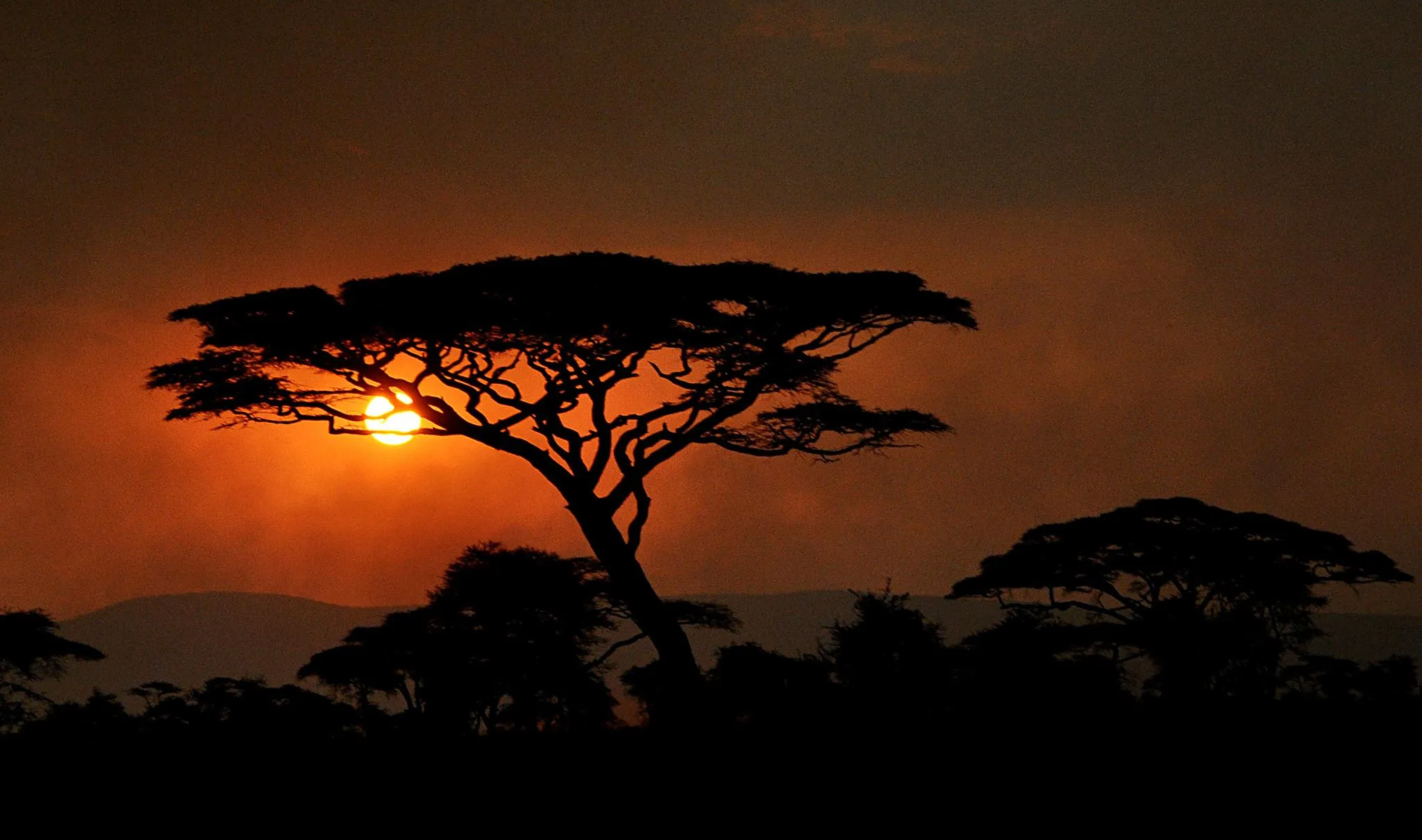 Serengeti luxury tented camp sunset
