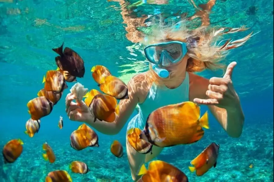 Zanzibar Snorkeling Guide: Best Spots and What You'll See