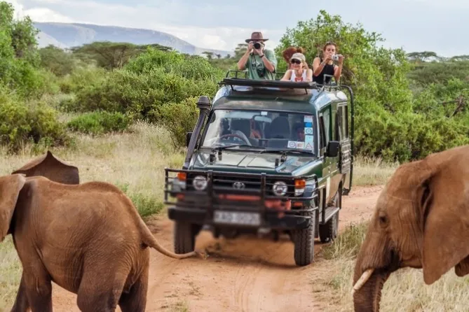 Private vs Group Safari Tanzania: Cost, Flexibility and Which to Choose