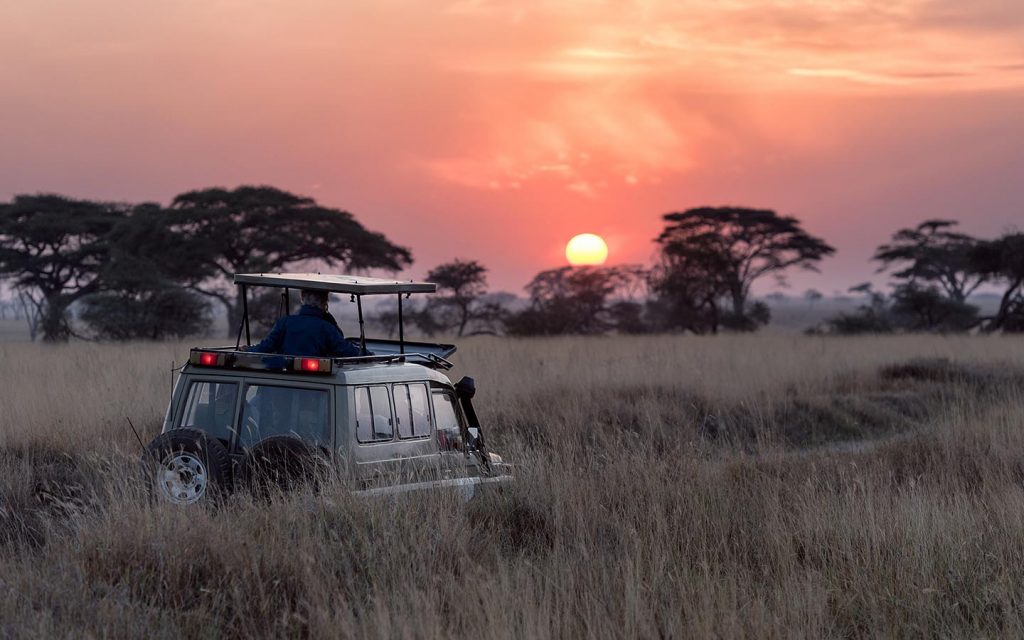 Serengeti Plains sunset