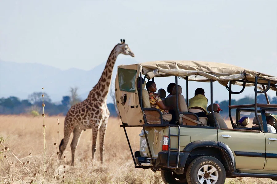 Tanzania Safari Packages: Compare All Northern Circuit Options