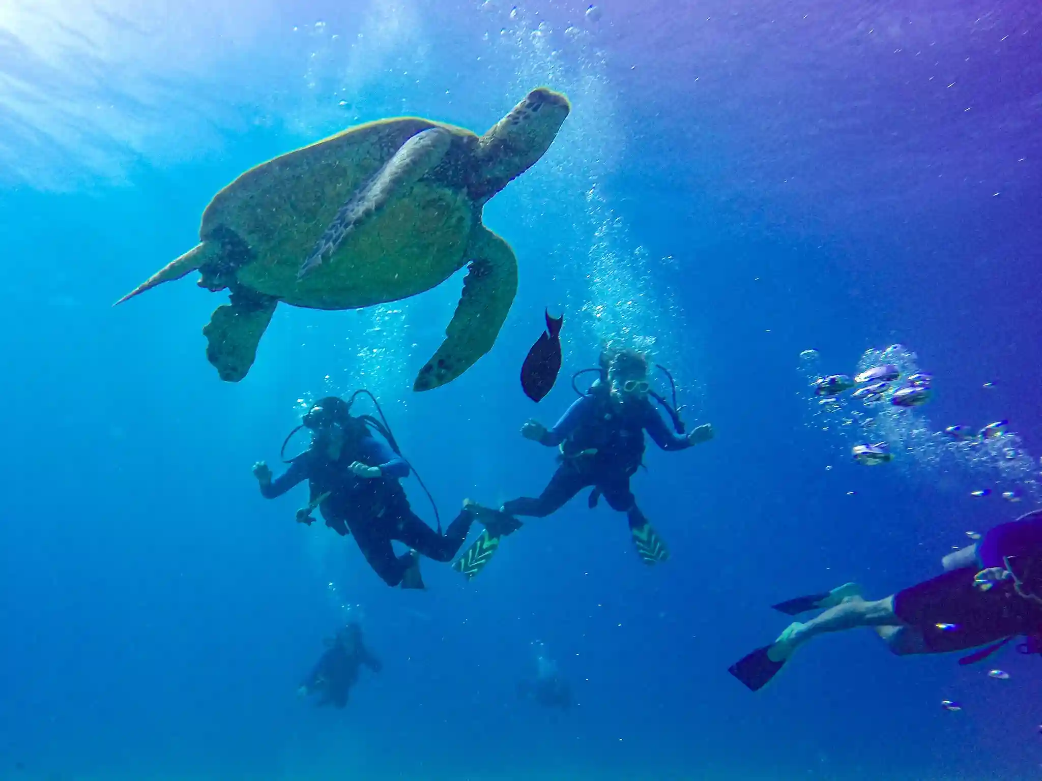 Sunset dhow cruise in Zanzibar